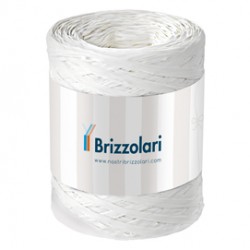 Nastro Rafia sintetica - bianco 01 - 5mmx200mt - Brizzolari