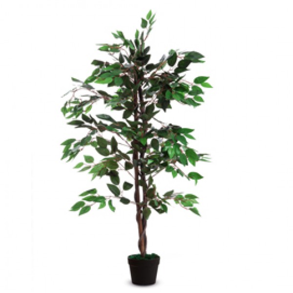 Pianta ornamentale - ficus - H 120cm - Paperflow Pianta ornamentale - ficus - H 120cm - Paperflow