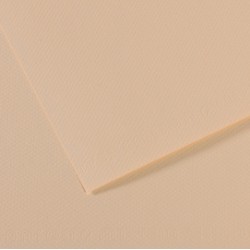 Foglio Mi-Teintes - A4 - 160 gr - conchiglia - Canson