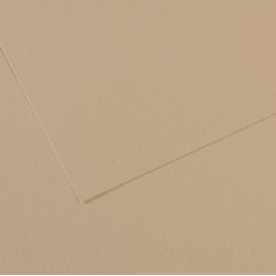 Foglio Mi-Teintes - A4 - 160 gr - grigio trianon - Canson