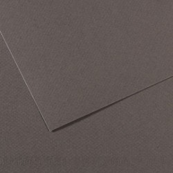 Foglio Mi-Teintes - A4 - 160 gr - grigio ardesia - Canson