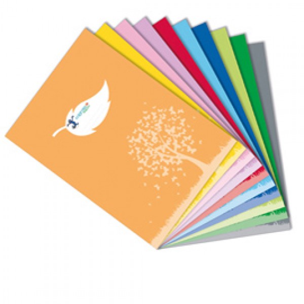 Coprimaxi Colorosa Green - 21 x 30 cm - c/tasche - verde chiaro - RiPlast Coprimaxi Colorosa Green - 21 x 30 cm - c/tasche - verde chiaro - RiPlast