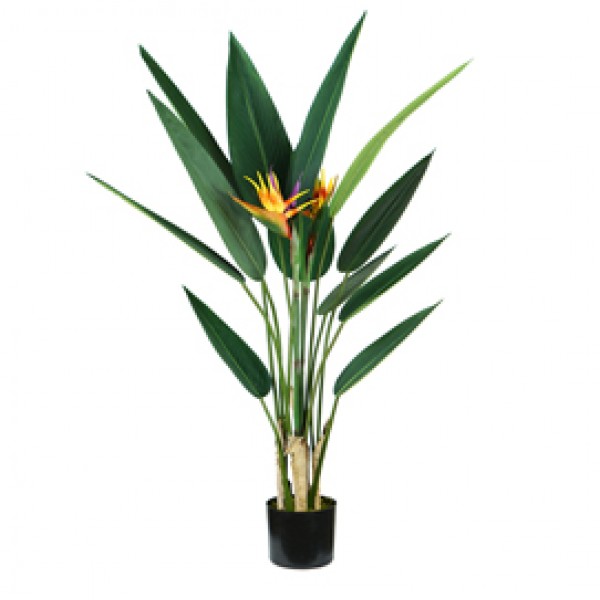 Pianta ornamentale Sterlizia - artificiale - 12 foglie e 2 fiori - 120 cm - PE - King Collection Pianta ornamentale Sterlizia - artificiale - 12 foglie e 2 fiori - 120 cm - PE - King Collection