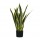 Pianta ornamentale Sansevieria - artificiale - 21 foglie - 75 cm - PE - King Collection