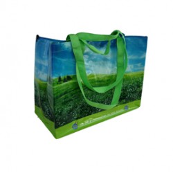 Borsa ripiegabile - per la spesa - con ganci - PP - 38 x 43 x 20 cm - Berni Group