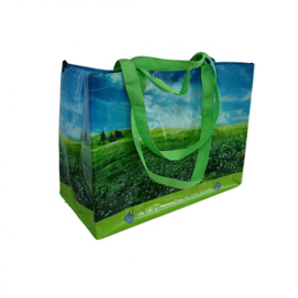 Borsa ripiegabile - per la spesa - con ganci - PP - 38 x 43 x 20 cm - Berni Group Borsa ripiegabile - per la spesa - con ganci - PP - 38 x 43 x 20 cm - Berni Group
