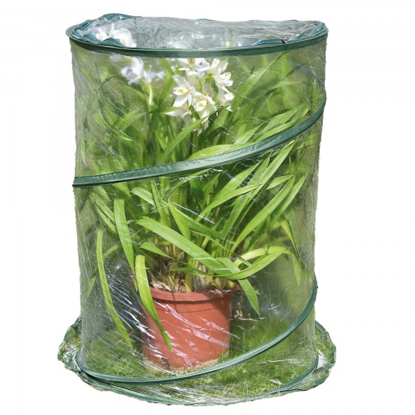 Serra Pop-up Anthurium - 70 x 100 cm - trasparente - Verdemax Serra Pop-up Anthurium - 70 x 100 cm - trasparente - Verdemax