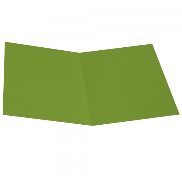 Cartellina semplice - 200 gr - cartoncino bristol - verde nilo - Starline - conf. 50 pezzi Cartellina semplice - 200 gr - cartoncino bristol - verde nilo - Starline - conf. 50 pezzi