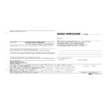 Scheda di notifica - fogli snap - 25 fogli 2 copie autoricalcanti - 10 x 22cm - Edipro - conf. 250 pezzi - immagine 2