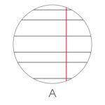 Maxiquaderno Be More Wild - A4 - rigo di 1a - 36+2 fogli - 100gr - BM - immagine 2