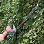 Tagliasiepe - a batteria TS20 - Verdemax - immagine 2
