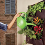 Annaffiatoio - 2 L - Verdemax - immagine 2
