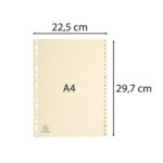 Separatori - 24 tasti A-Z - cartoncino - A4 - avorio - Exacompta - immagine 2