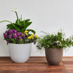 Vaso Over - 85 L - verde foresta - TeraPlast - immagine 2
