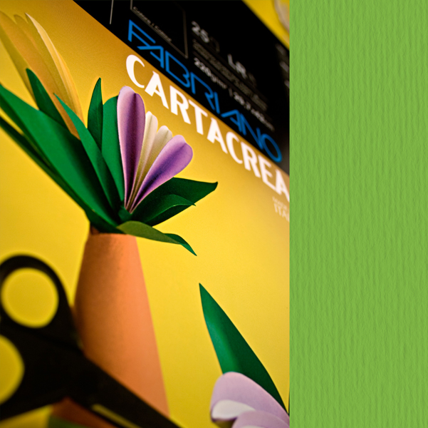 MD_37235 Cartoncino CartaCrea - 35 x 50 cm - 220 gr - verde 111 - Fabriano - blister 10 fogli - immagine 1