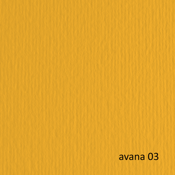 MD_40197 Cartoncino Elle Erre - 70 x 100 cm - 220 gr - avana 103 - Fabriano - blister 10 fogli - immagine 1