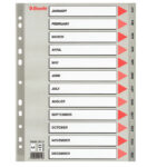 Separatore mensile Gen/Dic - PP - A4 - grigio - Esselte