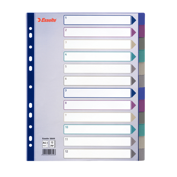 MD_49633 Separatore - 12 tasti - PP traslucido - A4 maxi - 24,5x29,7 cm - multicolore - Esselte - immagine 1