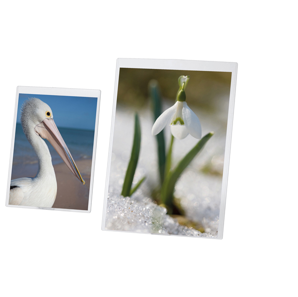 MD_50517 Portadepliant A3 - PVC semirigido - Lebez - immagine 1
