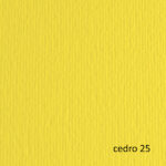 Cartoncino Elle Erre - 50 x 70 cm - 220 gr - cedro 25 - Fabriano - blister 20 fogli