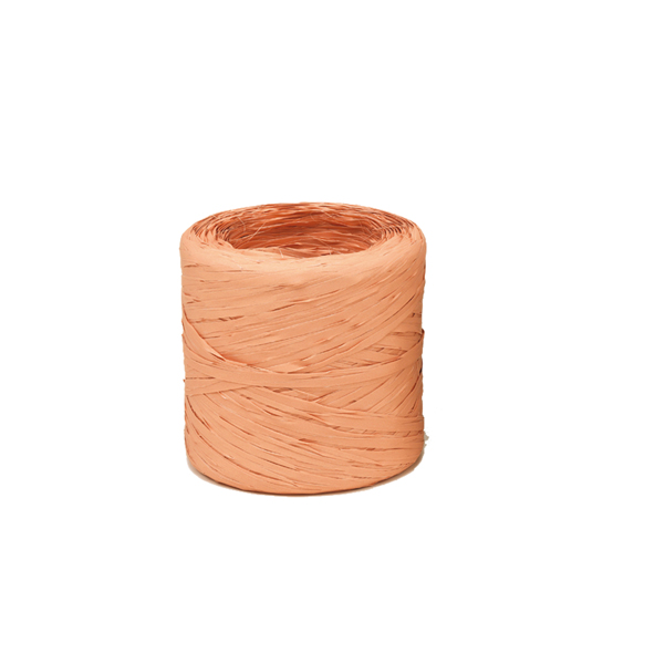 MD_71748 Nastro Raphia Vintage - salmone 64 - 200mt - Bolis - immagine 1