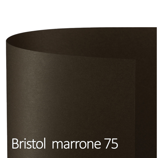 MD_81748 Cartoncino Bristol Color - 70 x 100 cm - 200 gr - marrone 75 - Favini - conf. 10 pezzi - immagine 1