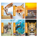 Maxiquaderno Be More Wild - A4 - rigo di 3a - 36+2 fogli - 100gr - BM