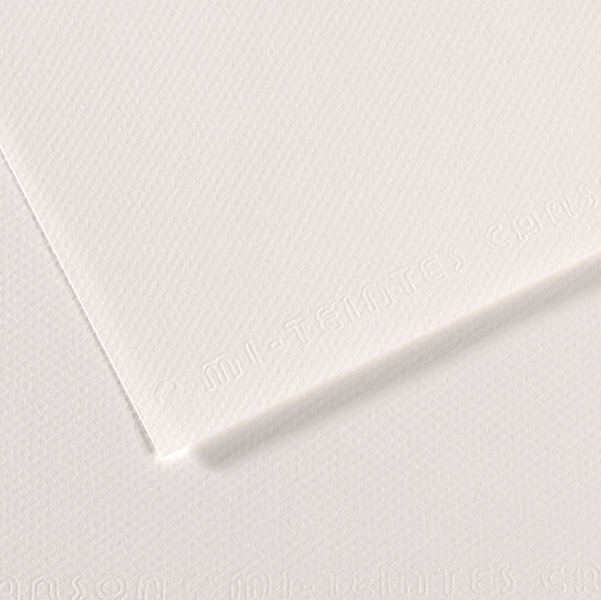 MD_92868 Foglio Mi-Teintes - A4 - 160 gr - bianco - Canson - immagine 1