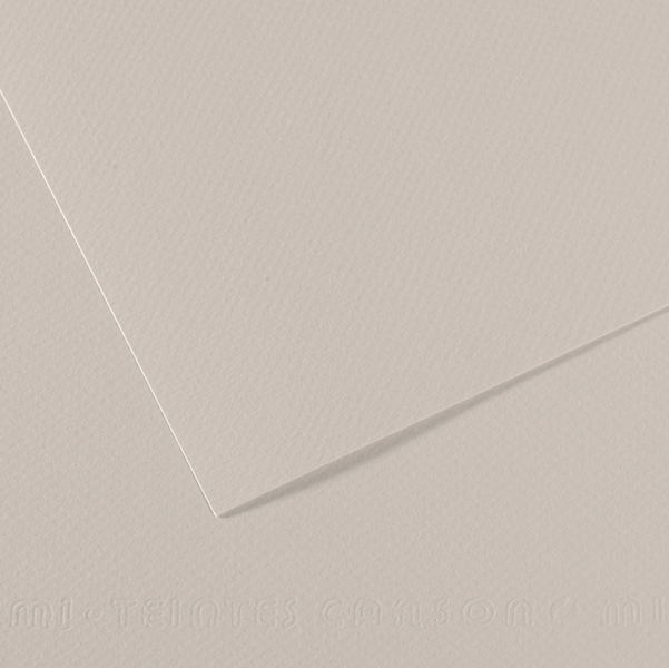 MD_92869 Foglio Mi-Teintes - A4 - 160 gr - grigio perla - Canson - immagine 1