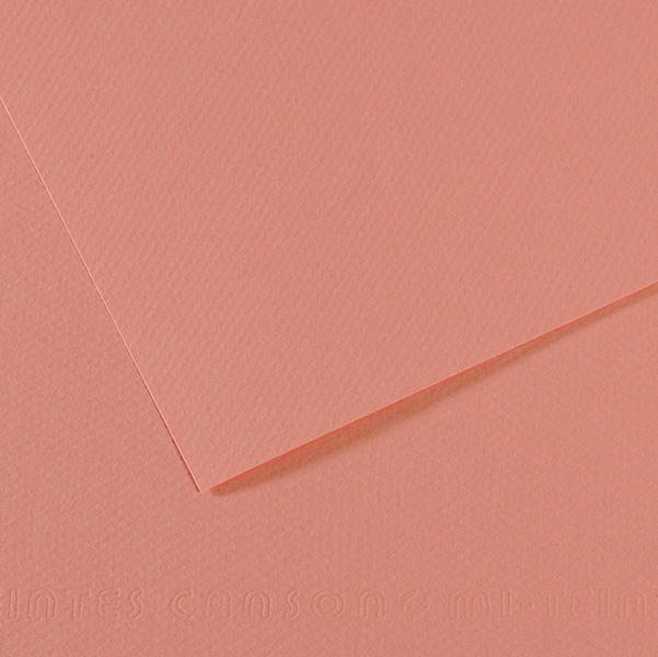 MD_92873 Foglio Mi-Teintes - A4 - 160 gr - rosa scuro - Canson - immagine 1
