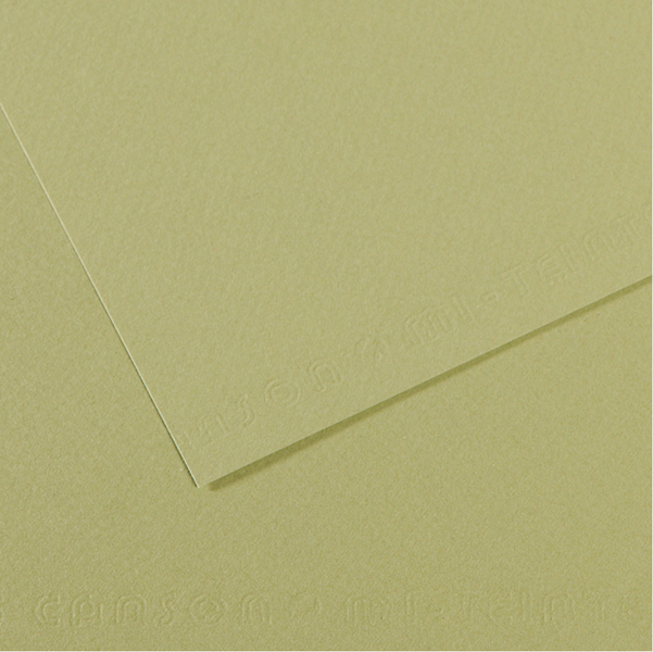 MD_92882 Foglio Mi-Teintes - A4 - 160 gr - verde mandorla - Canson - immagine 1