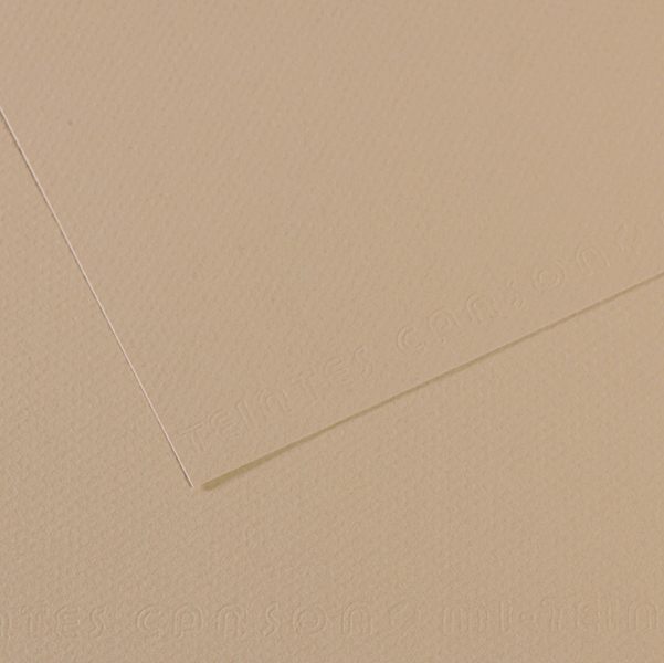 MD_92883 Foglio Mi-Teintes - A4 - 160 gr - grigio trianon - Canson - immagine 1