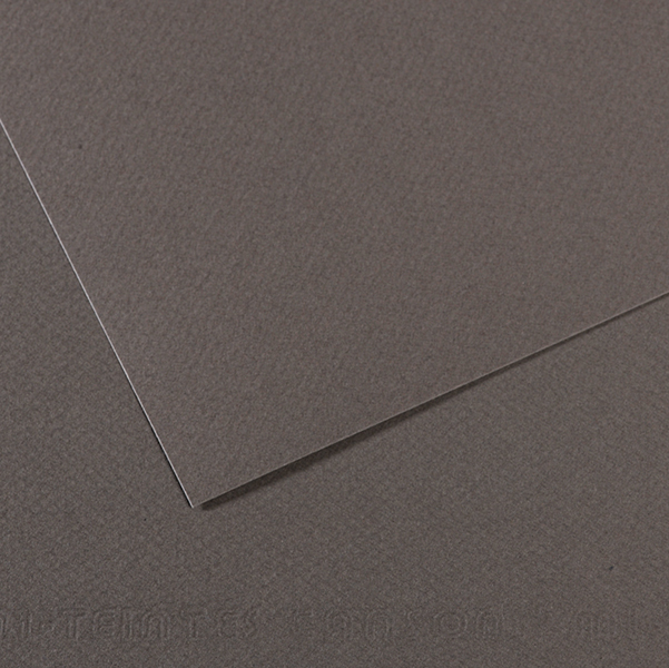 MD_92886 Foglio Mi-Teintes - A4 - 160 gr - grigio ardesia - Canson - immagine 1