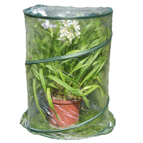 MD_99321 Serra Pop-up Anthurium - 70 x 100 cm - trasparente - Verdemax - immagine 1