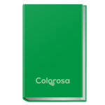 Diario - 12 mesi - copertina rigida antigraffio - colori assortiti - Colorosa - immagine 2