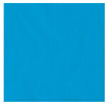 Tovaglia TNT - 160 x 260 cm - turchese - Big Party - - immagine 2