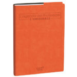 Agenda del Professore 2027 - copertina Roma - 21 x 27 cm - arancione - Quo Vadis