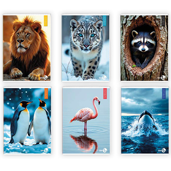 MD_82529 Maxiquaderno Animal fantasia - A4 - 5mm - 40+2 fogli - 80gr - BM - immagine 1