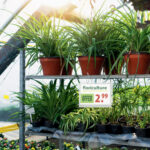 Busta impermeabile Outdoor - con fascette - A5 - Durable - conf. 5 pezzi - immagine 3