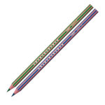 Matita colorata Evolution Stripes - colori assortiti - Bic - conf. 12 pezzi - immagine 2