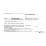 Scheda di notifica - fogli snap - 25 fogli 2 copie autoricalcanti - 10 x 22cm - Edipro - conf. 250 pezzi - immagine 2