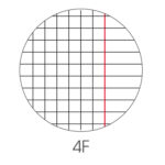 Maxiquaderno Animal fantasia - A4 - 4mm c/margine - 40+2 fogli - 80gr - BM - immagine 2