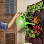 Annaffiatoio - 2 L - Verdemax - immagine 2