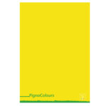 Maxiquaderno Pigna Colours - A4 - 1 rigo - 42 fogli - 80 gr - Pigna - immagine 4