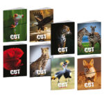 Maxiquaderno Animal Cut - A4 - 5mm - 21 fogli - 80 gr - Blasetti