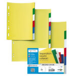 Separatore Record S - 6 tasti - PP - 21 x 29,7 cm - A4 - multicolore - Sei Rota