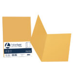 Cartellina semplice Luce - 200 gr - A4 - giallo oro - cartoncino bristol - Favini - conf. 50 pezzi
