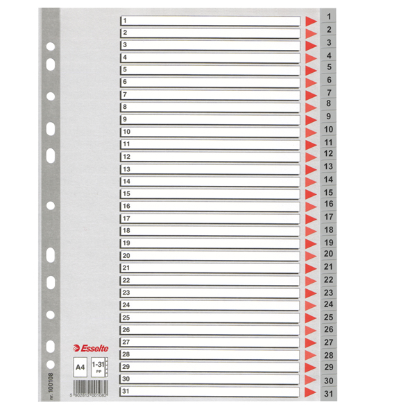 MD_45645 Separatore numerico 1/31 - PP - A4 - grigio - Esselte - immagine 1