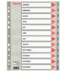 Separatore mensile Gen/Dic - PP - A4 - grigio - Esselte