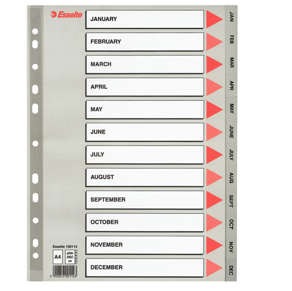 MD_45646 Separatore mensile Gen/Dic - PP - A4 - grigio - Esselte - immagine 1